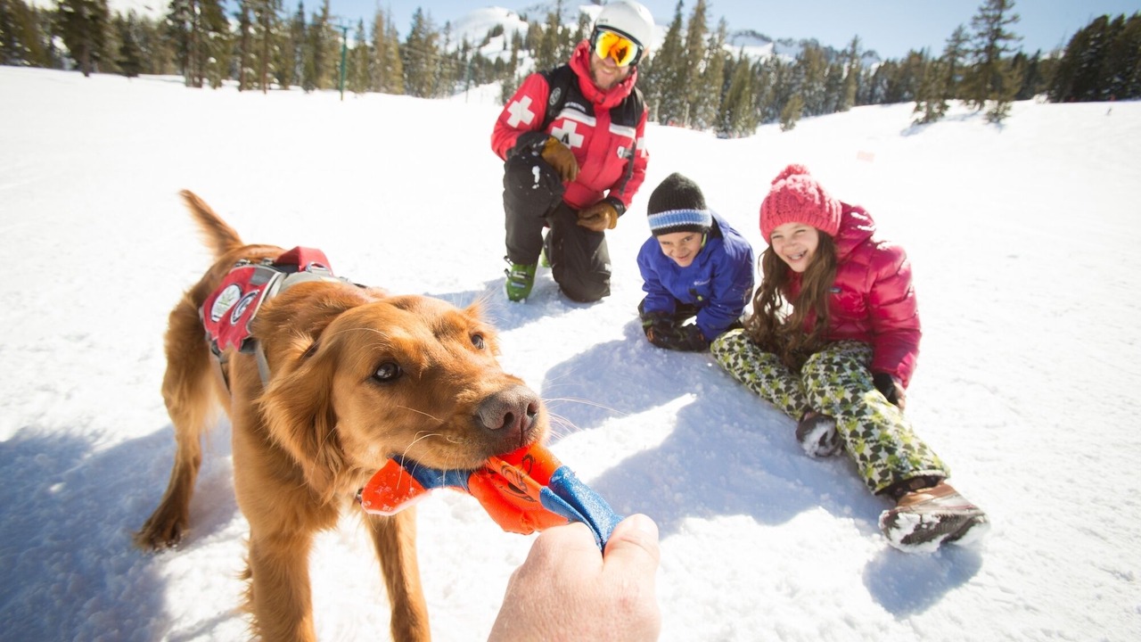 Photo of Others in Kirkwood