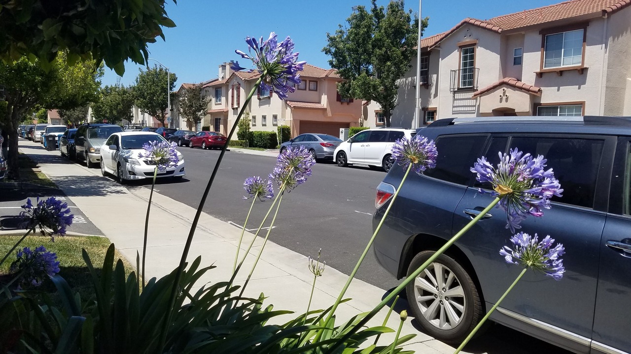 Photo of Outdoor in Santa Clara