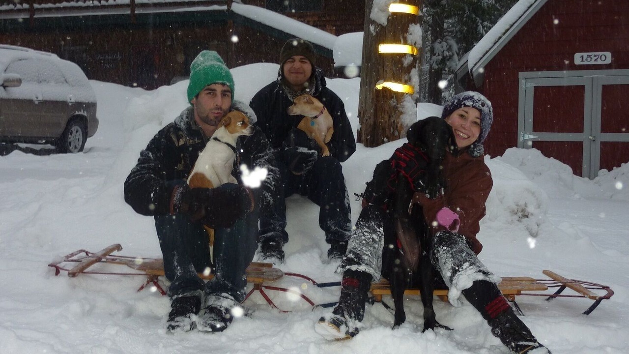 Photo of Outdoor in Sunnyside