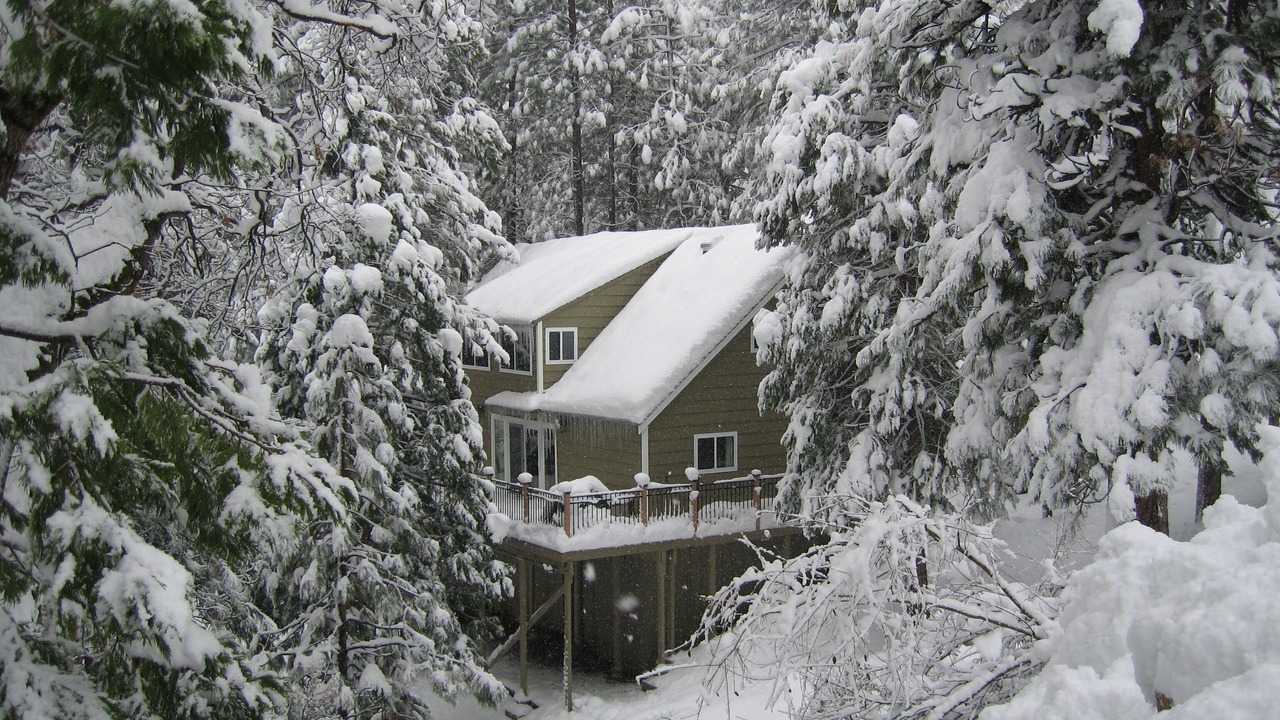Photo of Outdoor in Cold Springs