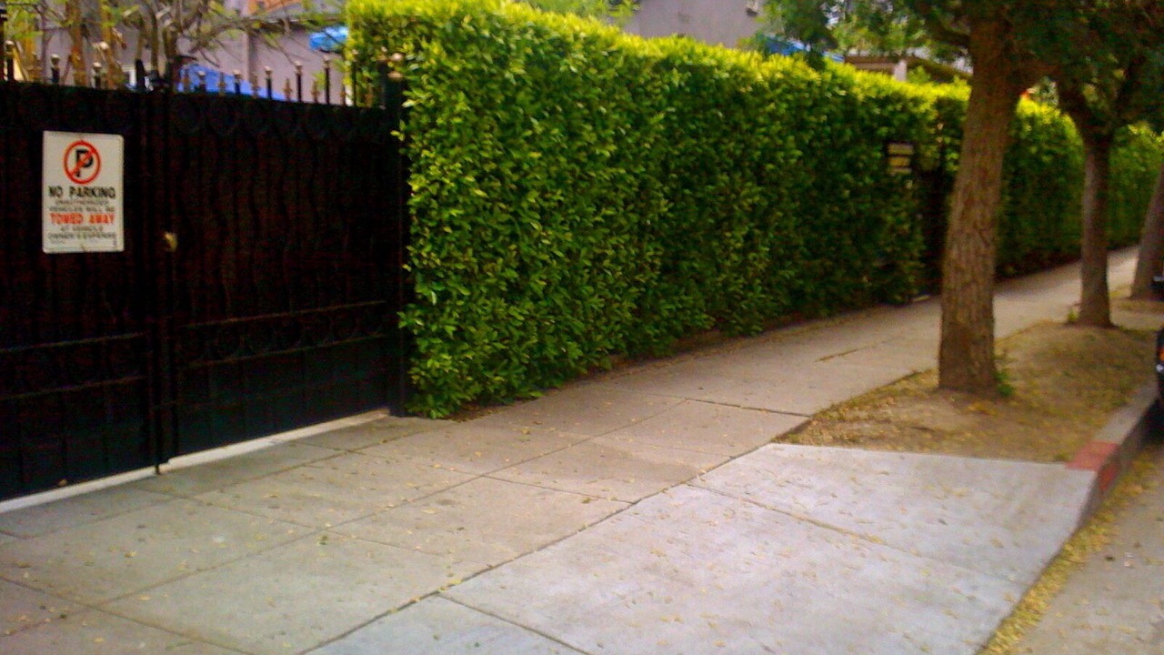 Photo of Outdoor in Hollywood