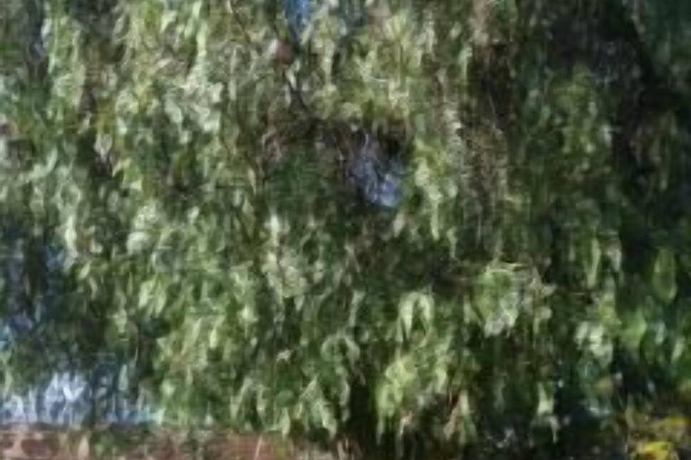 Photo of Outdoor in Temecula