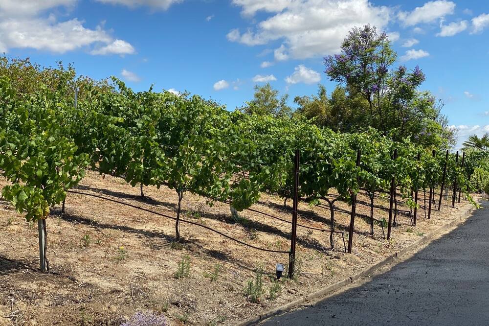 Photo of Outdoor in Temecula