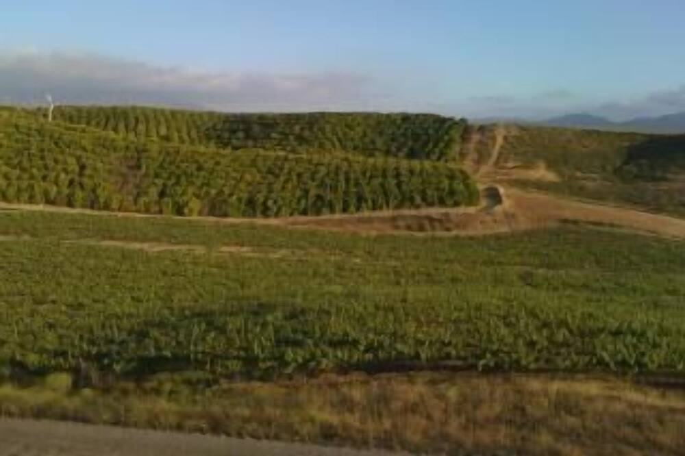 Photo of Others in Temecula