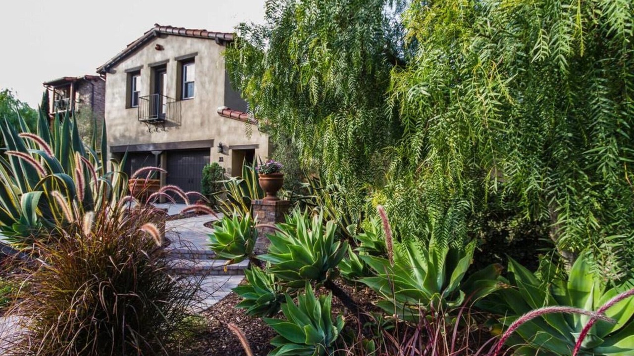 Photo of Outdoor in Ladera Ranch