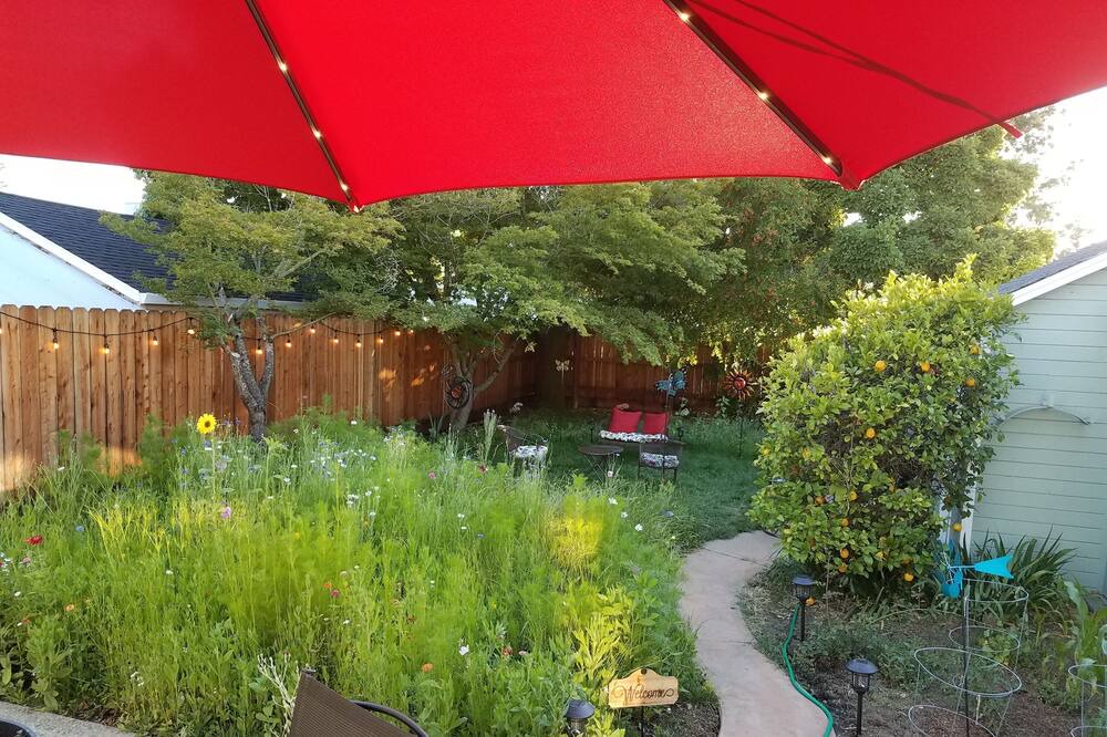 Photo of Outdoor in Napa
