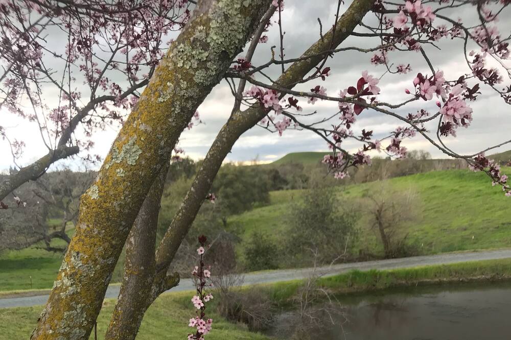 Photo of Others in Valley Springs