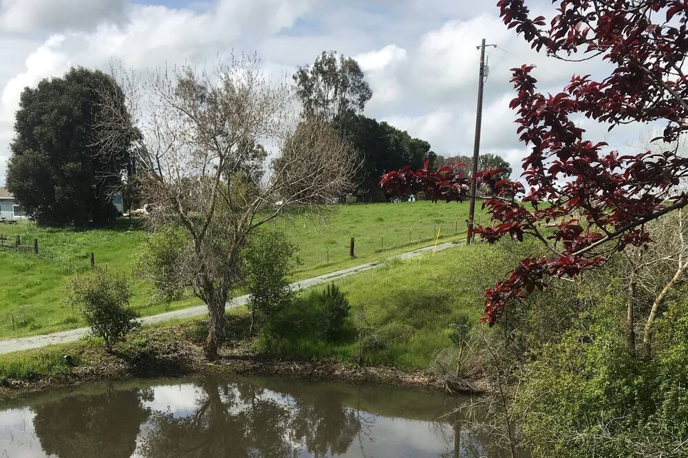 Photo of Others in Valley Springs