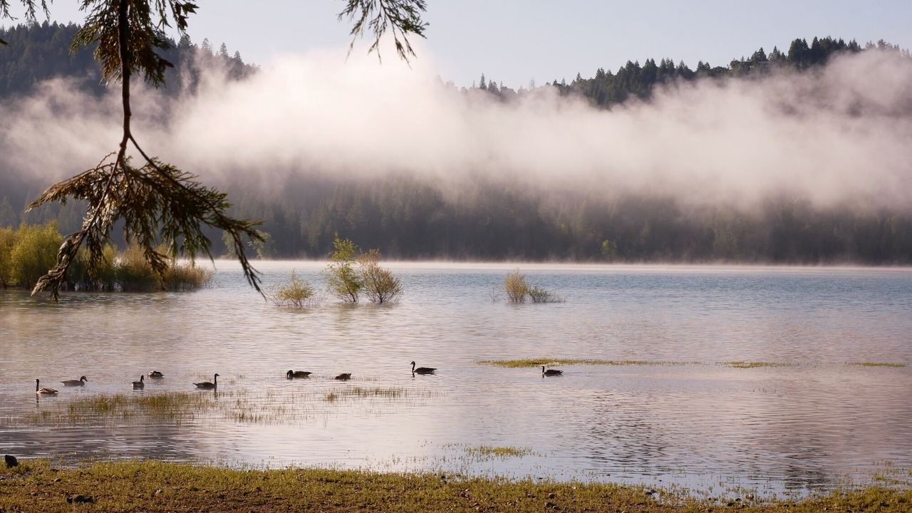 Photo of Outdoor in Nevada City