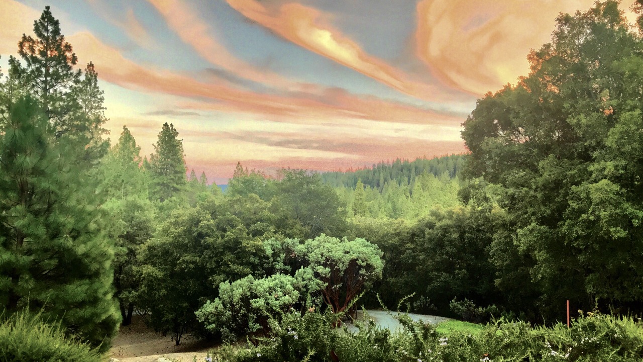 Photo of Outdoor in Nevada City