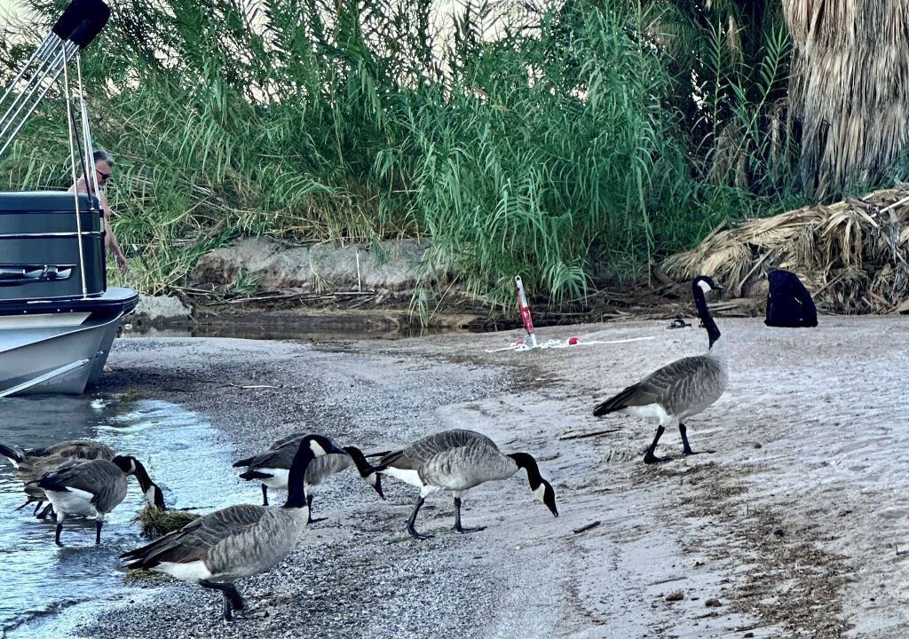 Photo of Others in Earp