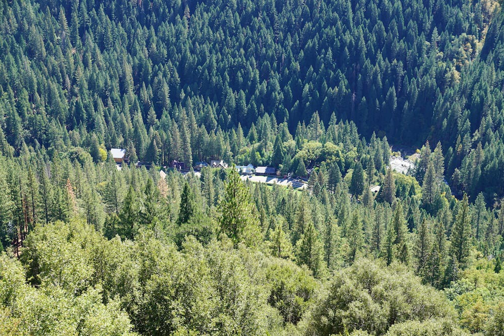Photo of Others in Sierra City
