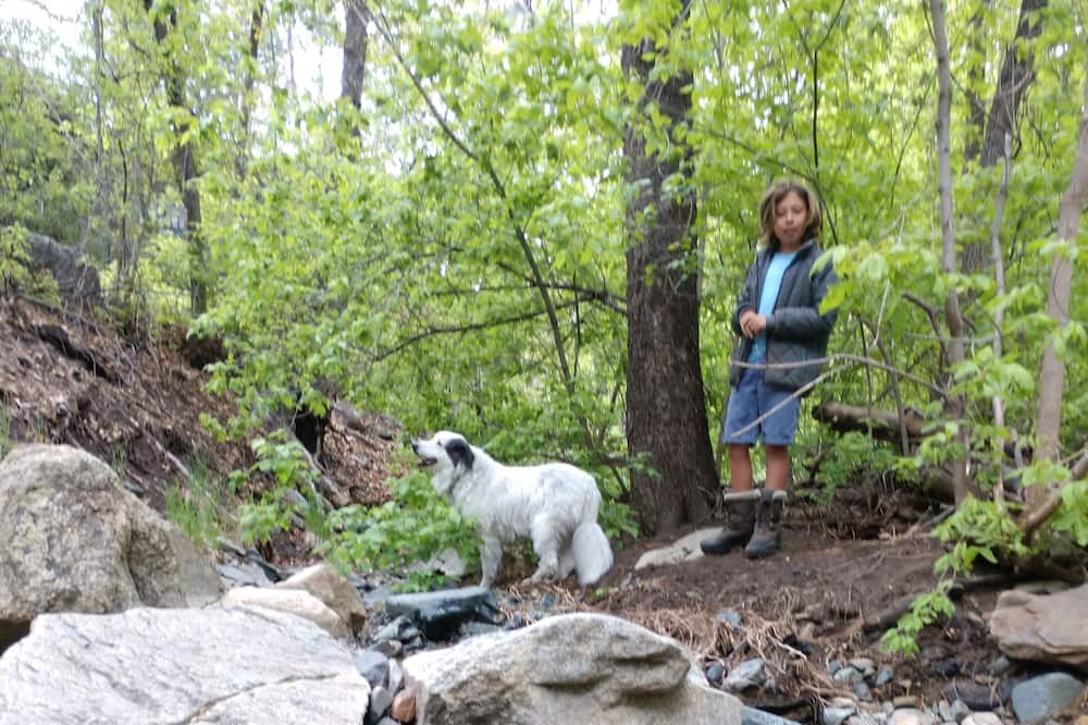 Photo of Others in Groom Creek