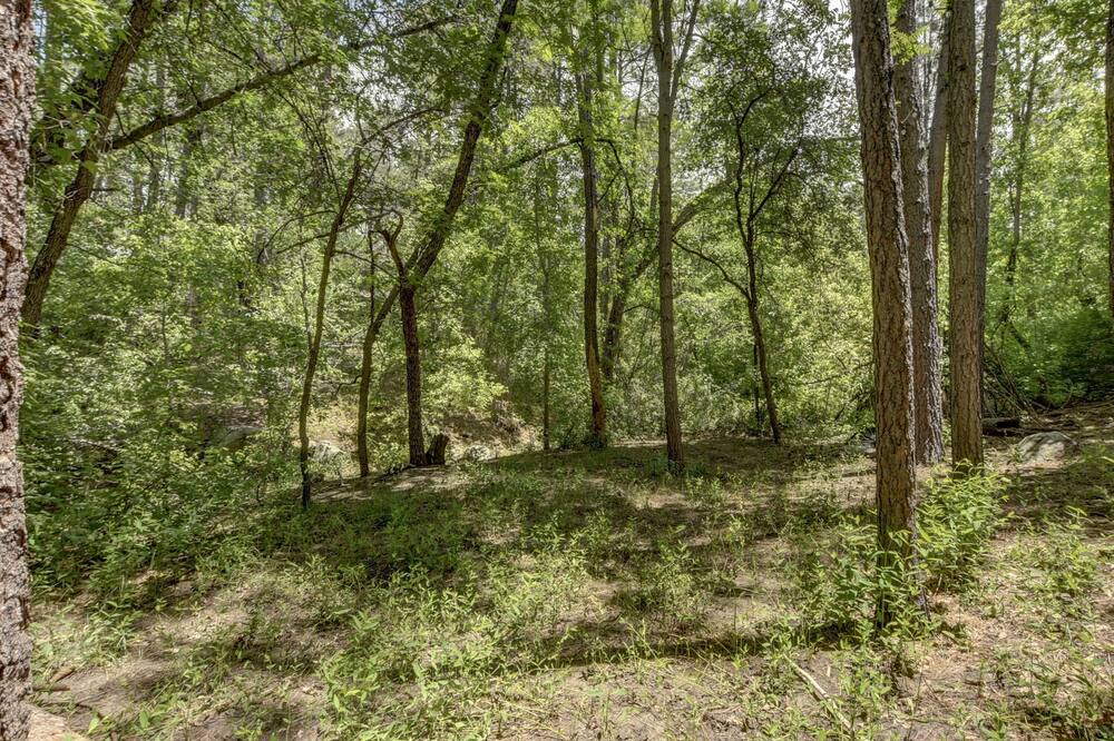 Photo of Outdoor in Groom Creek