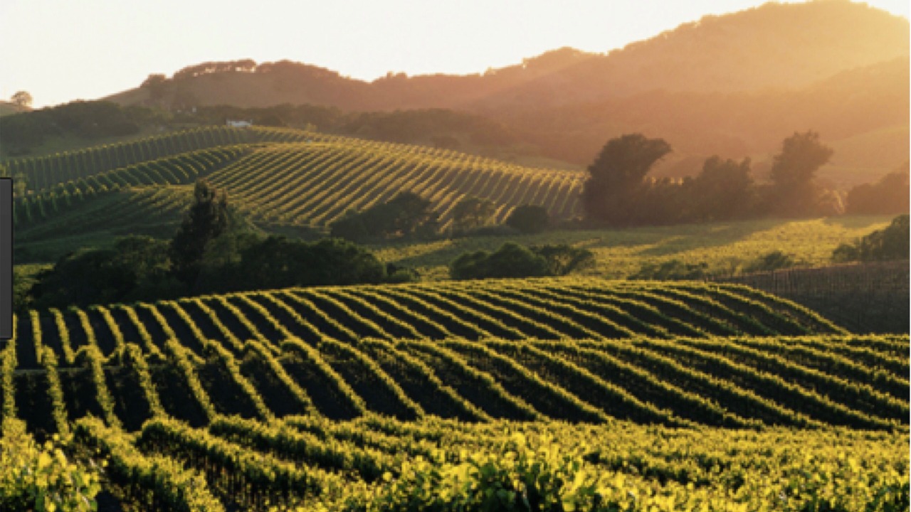 Photo of Outdoor in St. Helena