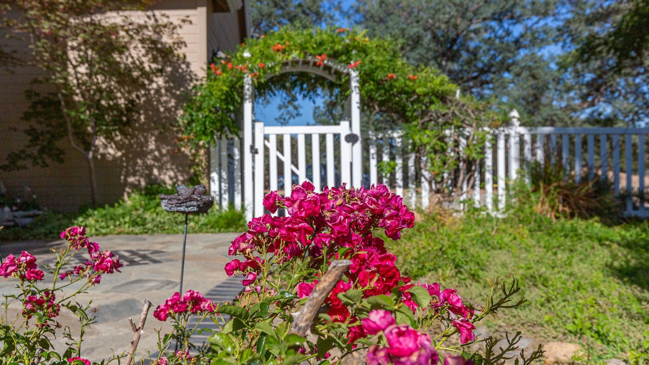 Photo of Outdoor in Mariposa