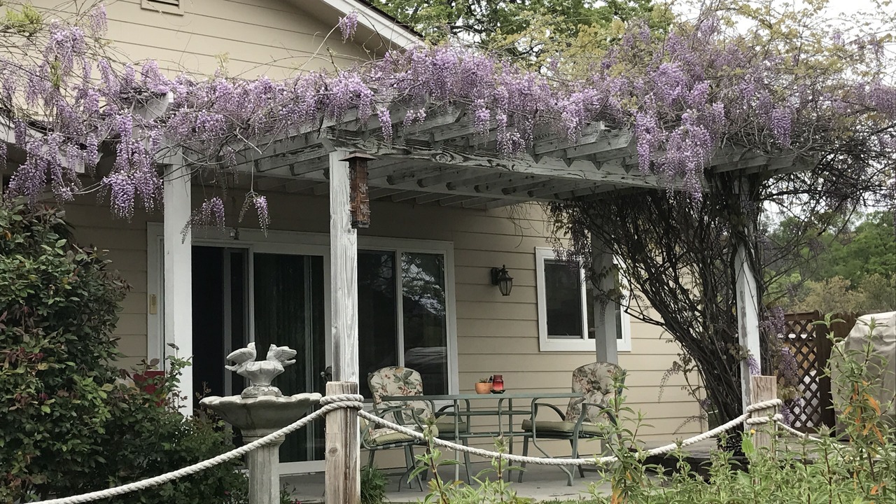 Photo of Patio Balcony in Mariposa