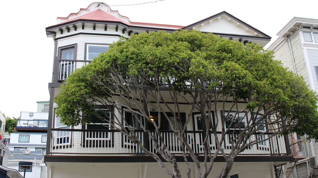 Photo of Buildings in Avalon