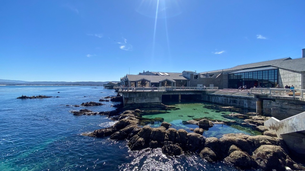 Photo of Others in Pacific Grove