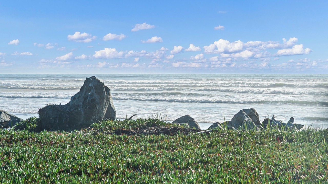 Photo of Bedroom in Bertsch-Oceanview
