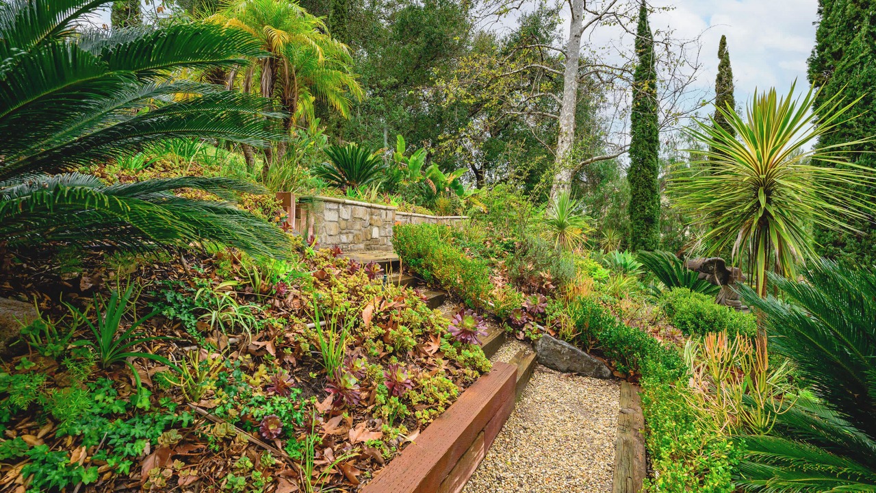Photo of Outdoor in Rancho Santa Margarita