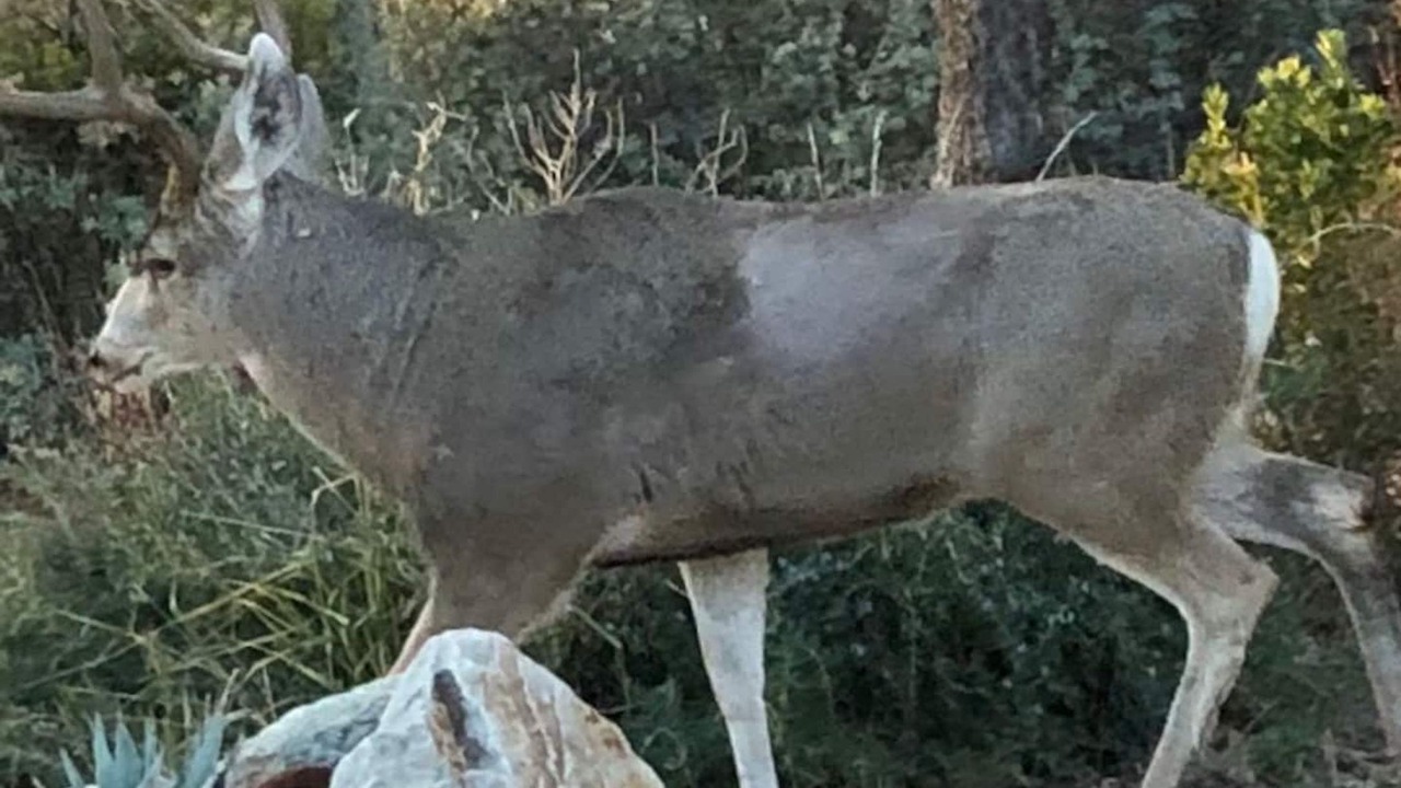 Photo of Others in Prescott