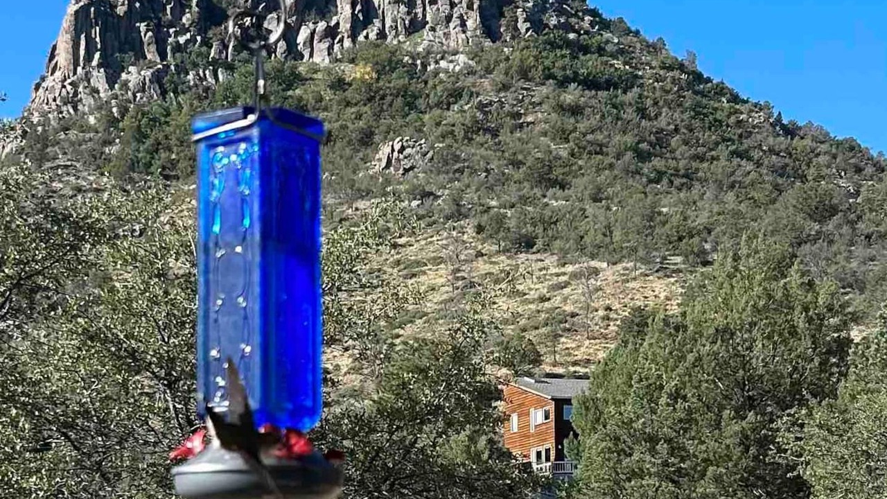 Photo of Others in Prescott