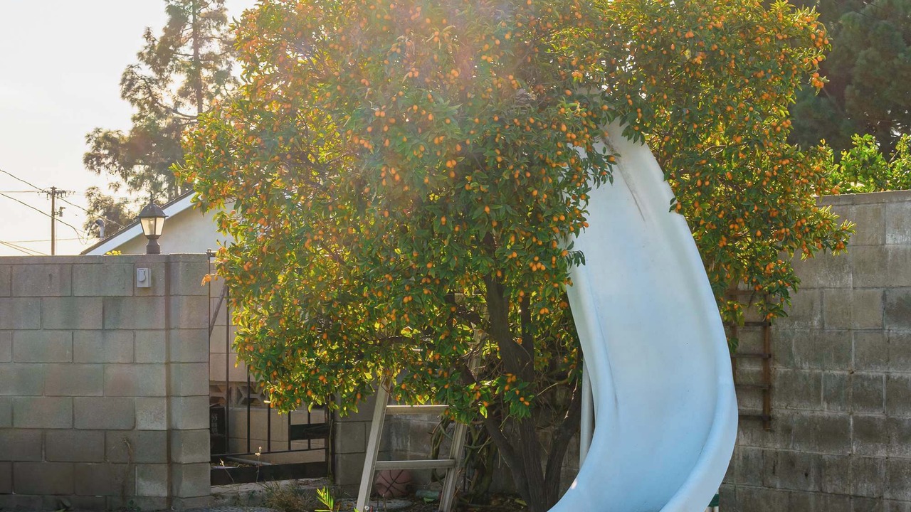 Photo of Outdoor in Glendora