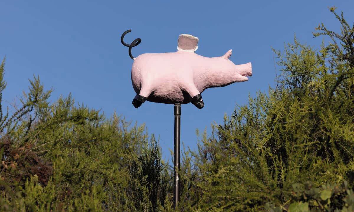 Photo of Others in Topanga