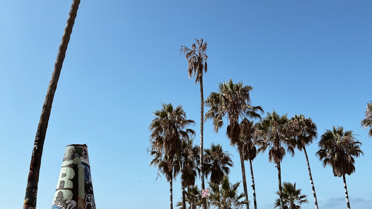 Photo of Others in Venice