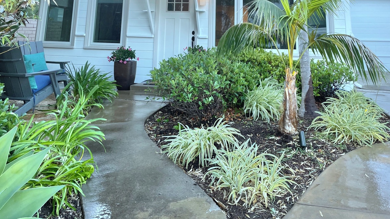 Photo of Outdoor in North Park
