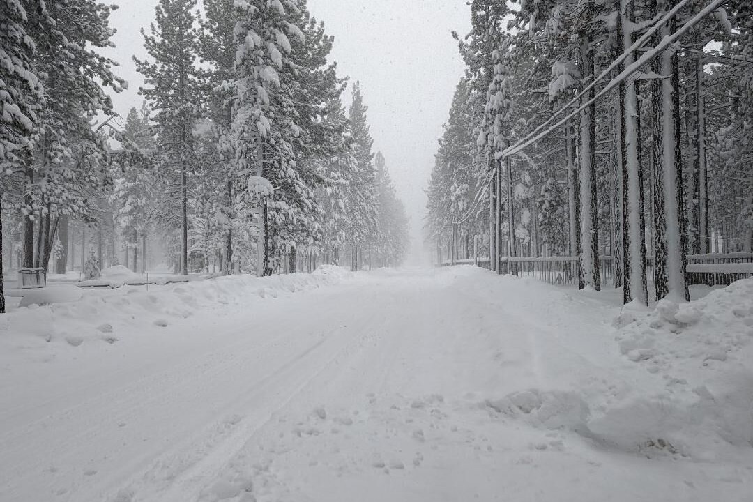 Photo of Others in Bijou Pines