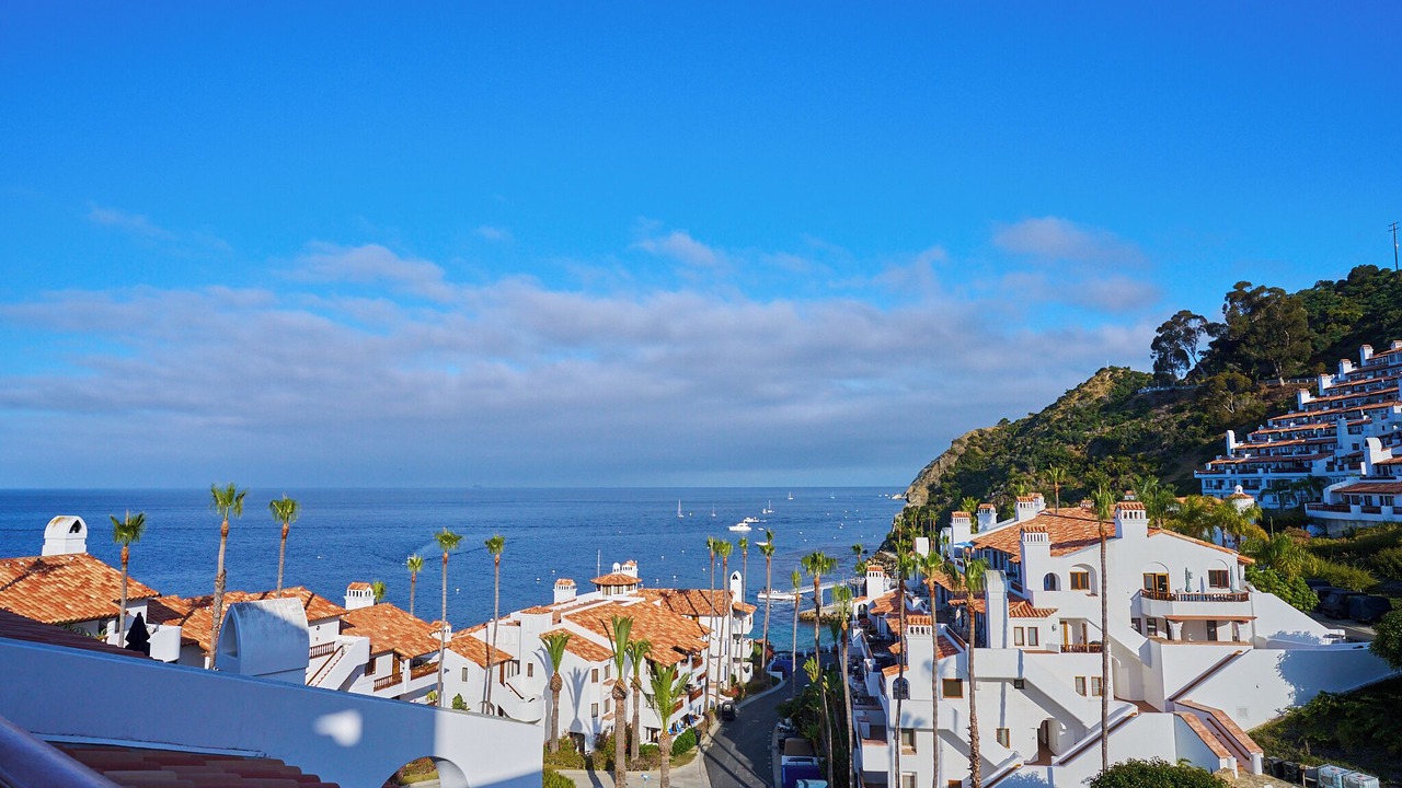 Photo of Outdoor in Avalon