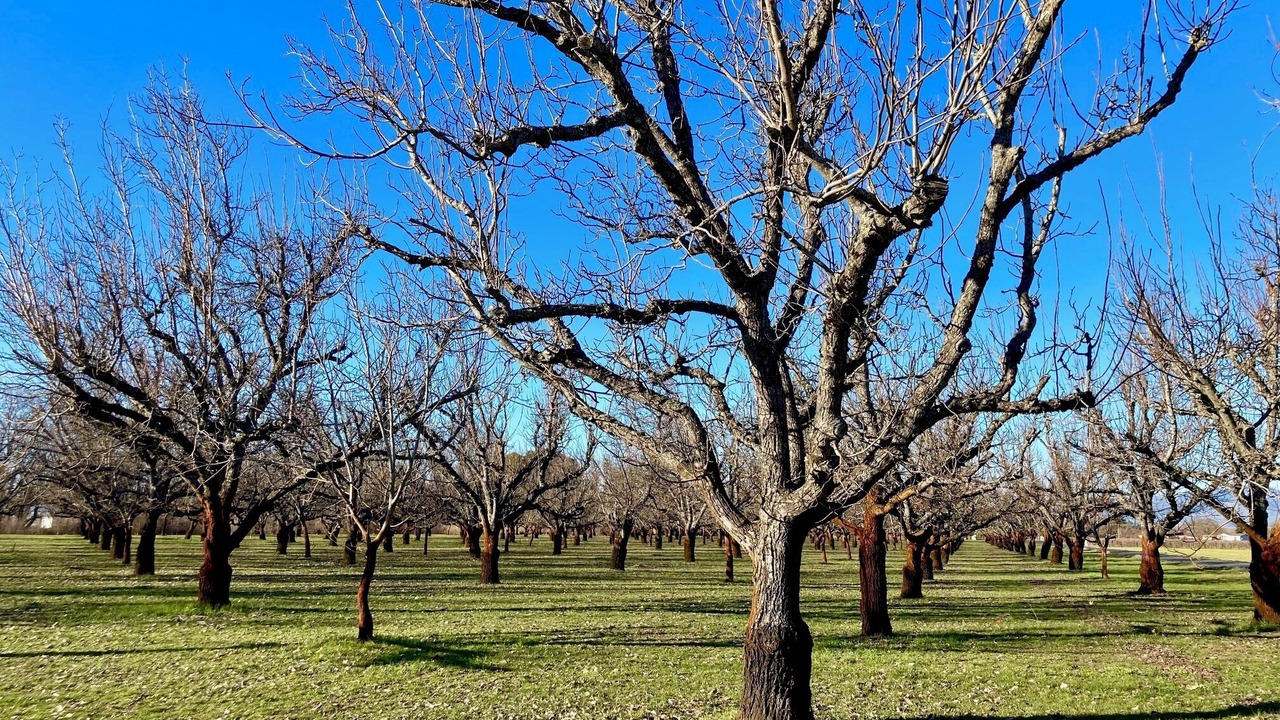 Photo of Others in Kelseyville