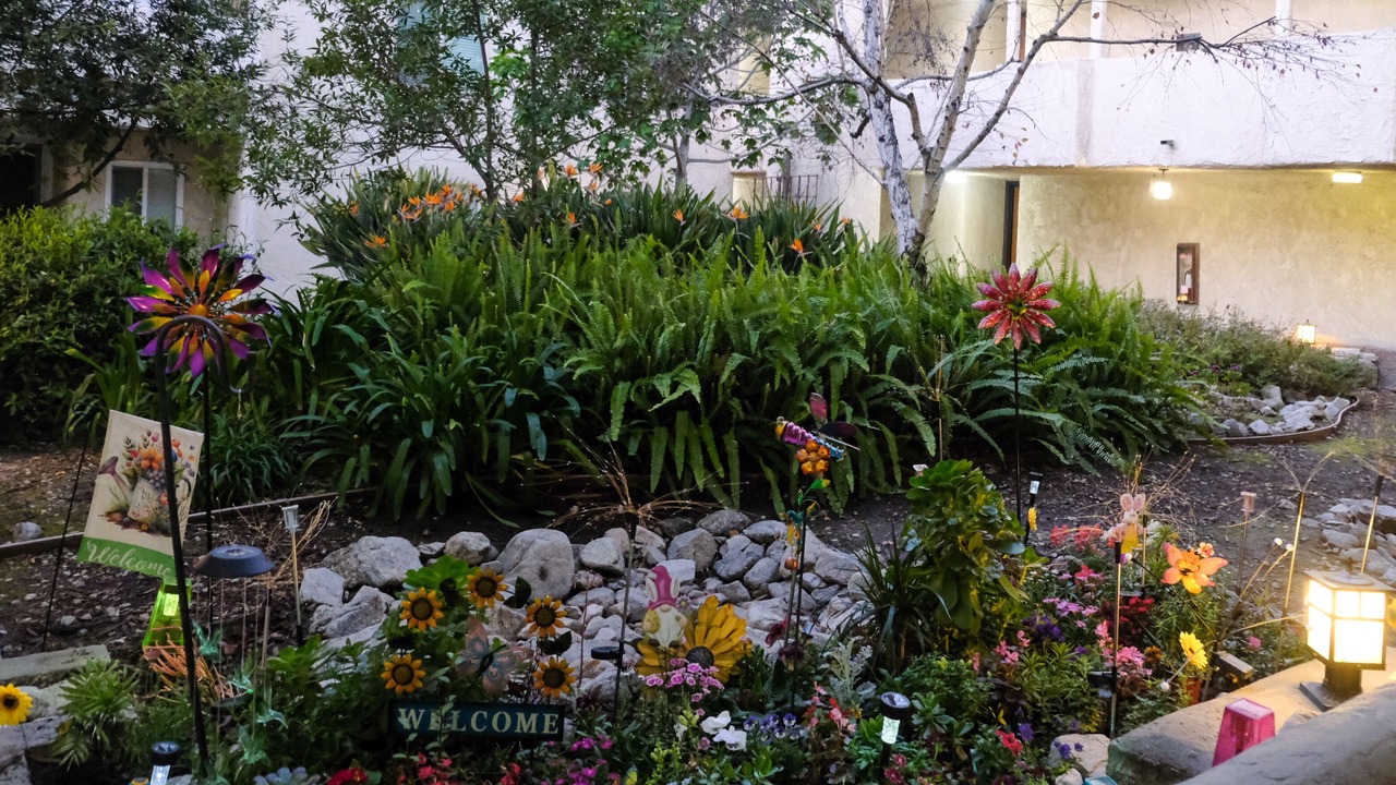 Photo of Outdoor in Mid Central