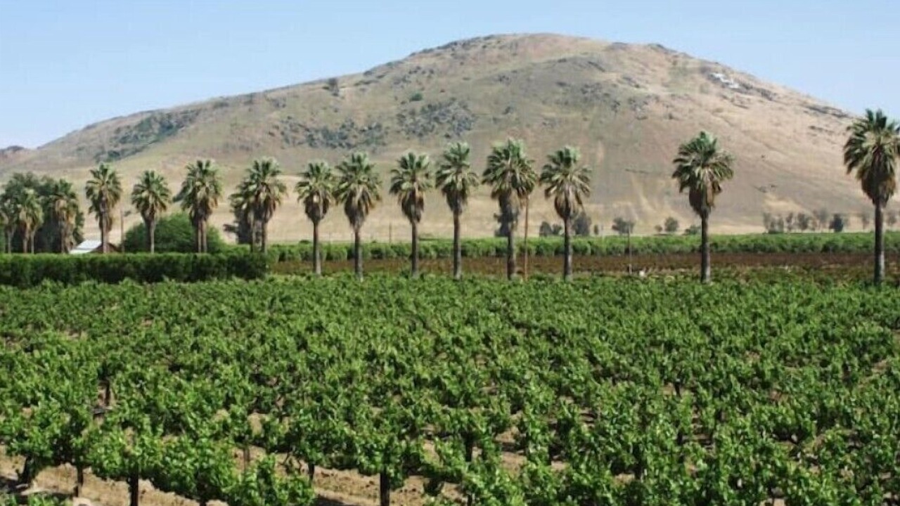 Photo of Others in Reedley