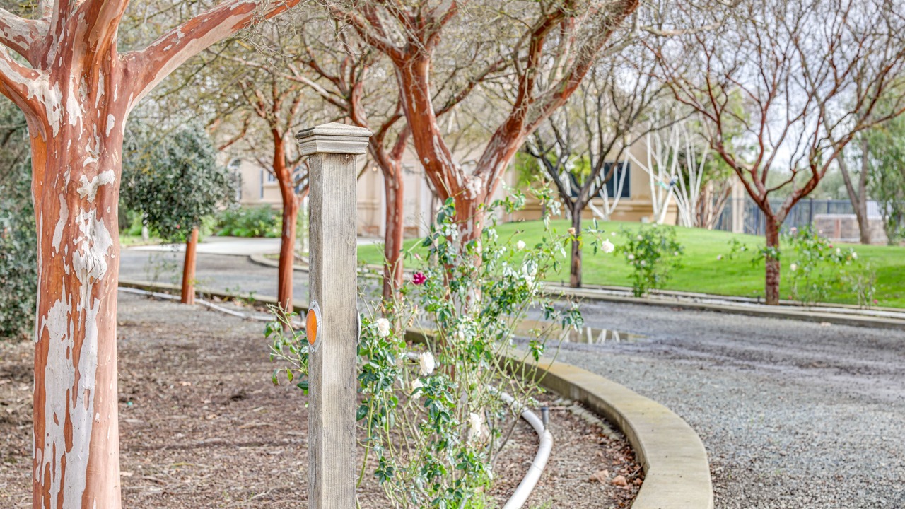 Photo of Outdoor in Byron