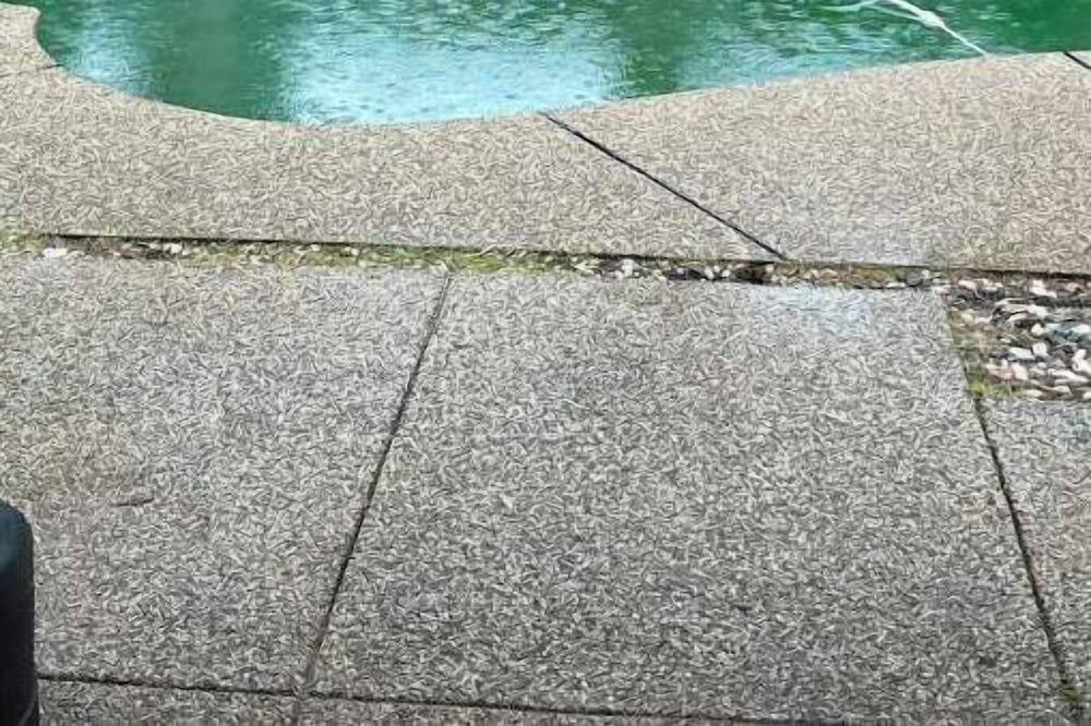 Photo of Outdoor in Carmichael