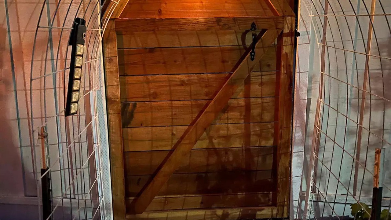 Photo of Others in Hollister