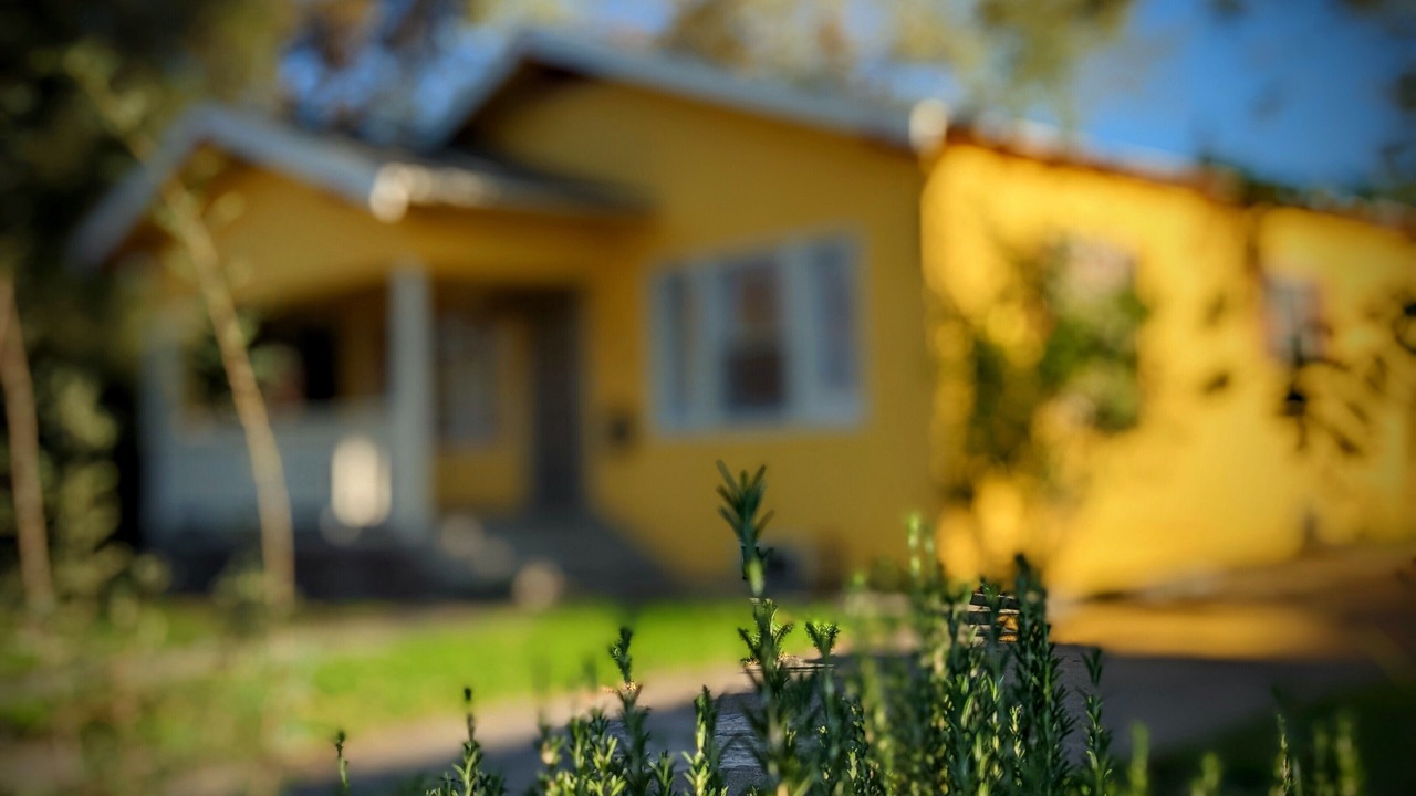 Photo of Outdoor in Woodland