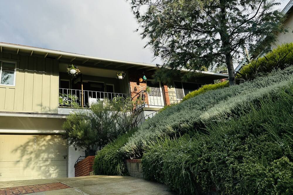 Photo of Outdoor in Eagle Rock
