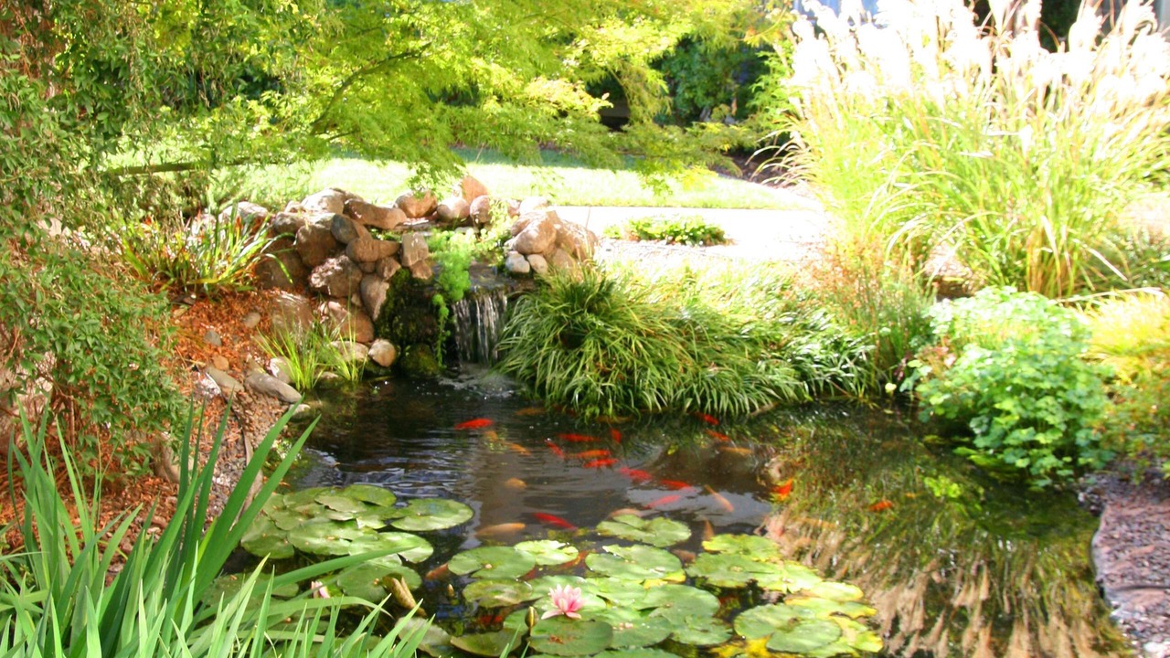 Photo of Outdoor in Ukiah