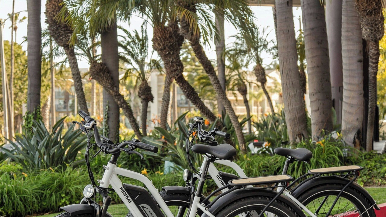 Photo of Others in Marina del Rey