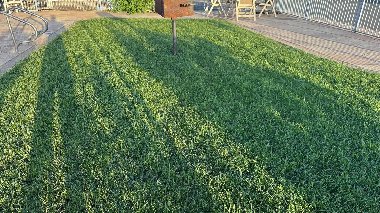Photo of Outdoor in Willows
