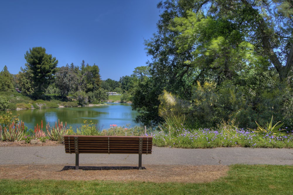 Photo of Outdoor in Davis