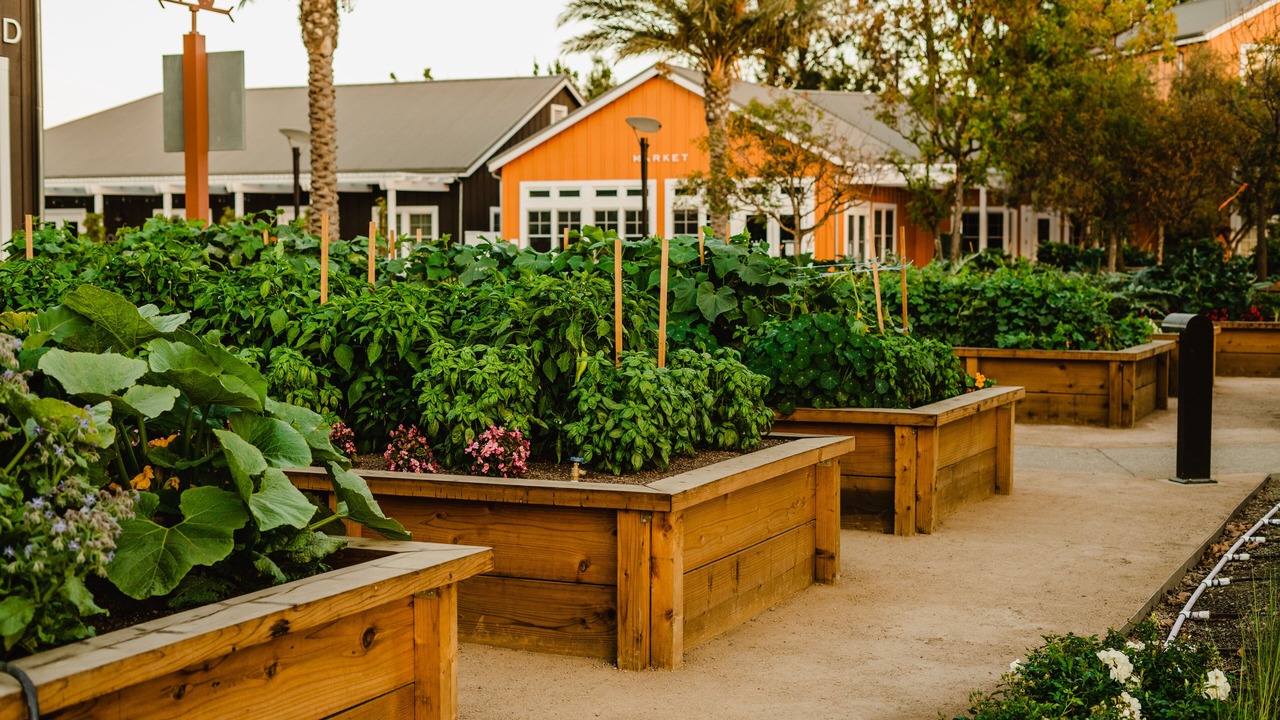 Photo of Outdoor in Napa