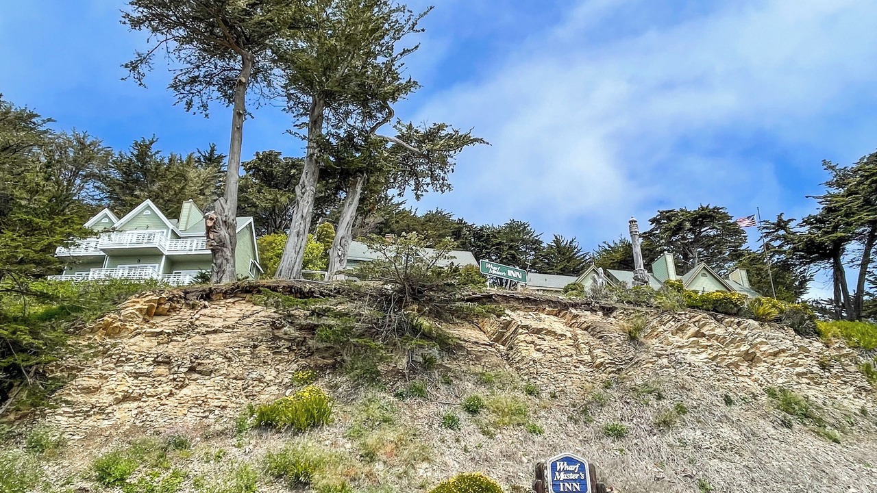 Photo of Outdoor in Point Arena