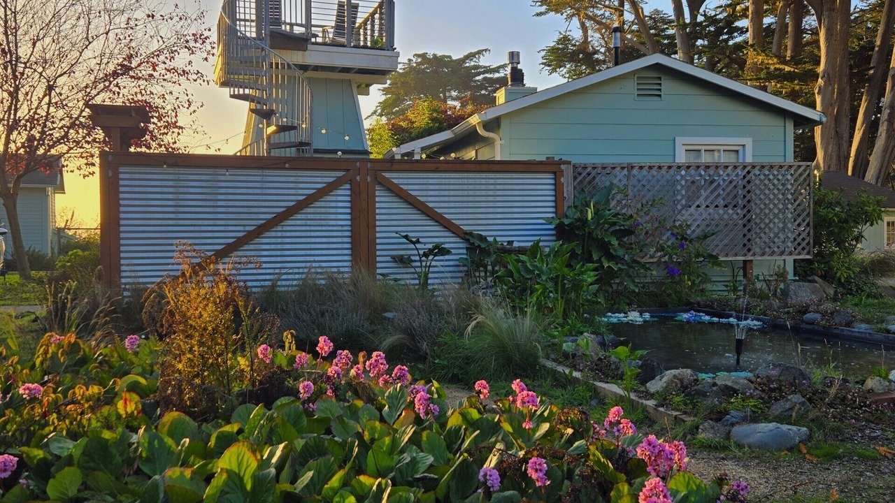 Photo of Outdoor in Little River