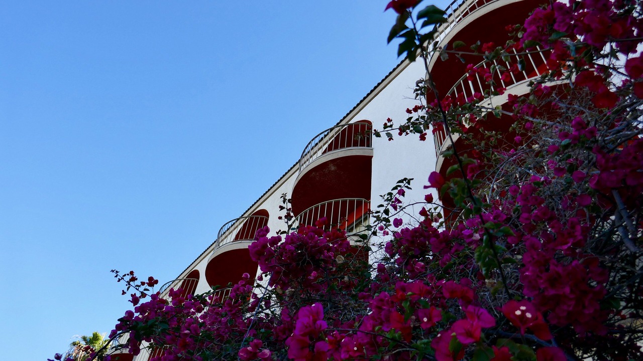 Photo of Buildings in Harbor