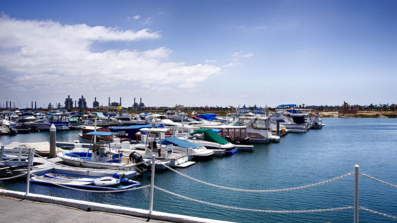 Photo of Others in Harbor